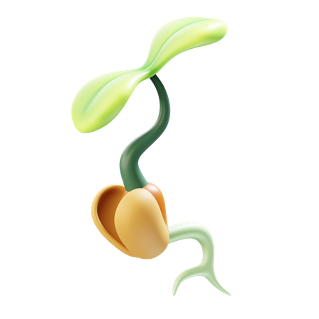 Knospe  3D Icon