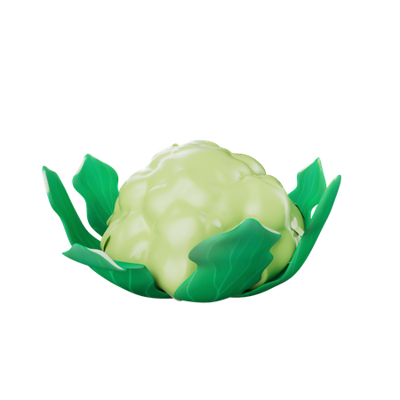 Kohl  3D Icon