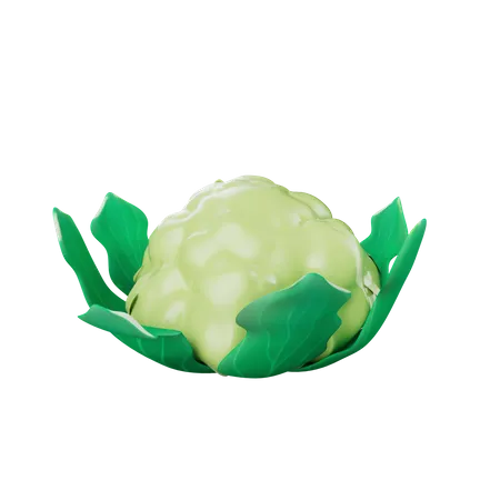 Kohl  3D Icon