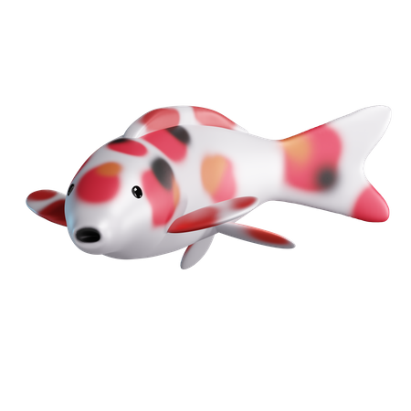 Koi Fish  3D Illustration