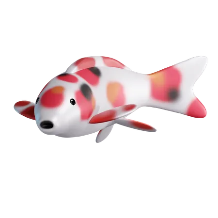 Koi Fish  3D Illustration