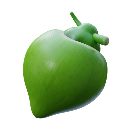 Kokosnuss  3D Icon