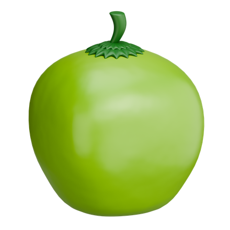 Kokosnussfrucht  3D Icon