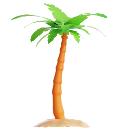 Kokosnussbaum  3D Icon