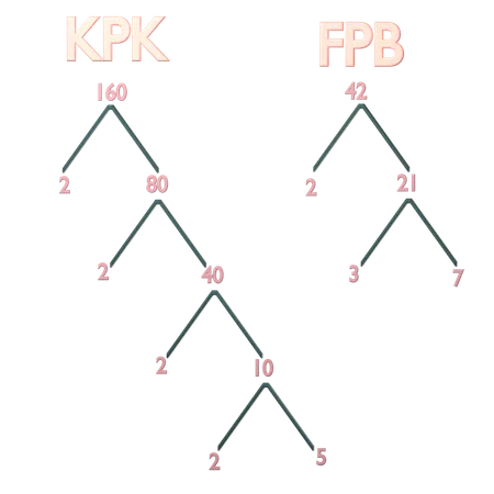 Kpk y fpb  3D Icon