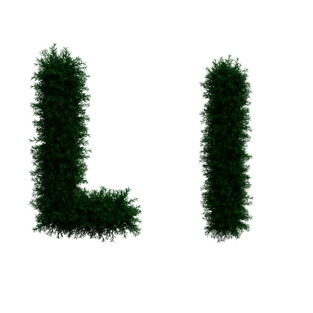 L  3D Icon