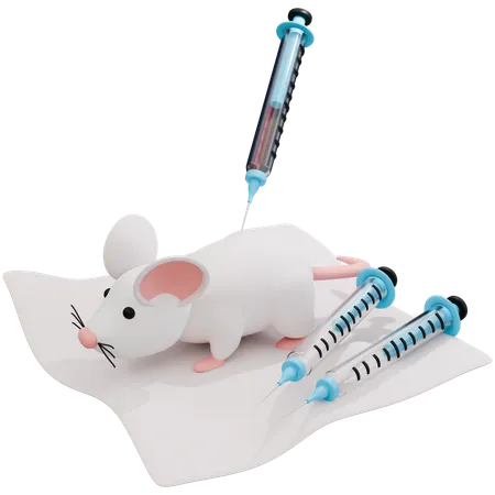 Laboratory Mouse Experiment Procedures  3D Icon