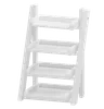 Ladder Shelf
