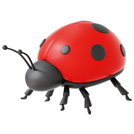 Lady Bug  3D Icon