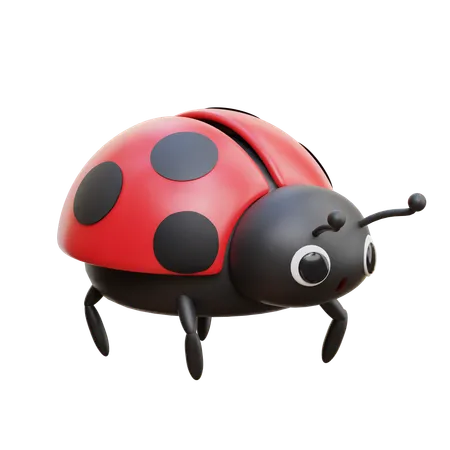 Lady Bug  3D Icon