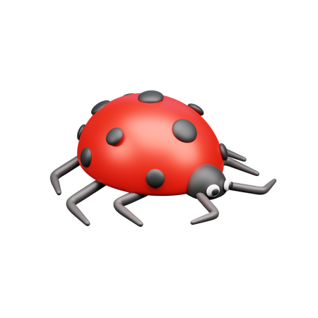 Lady Bug  3D Icon