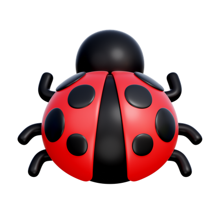 Lady Bug  3D Icon