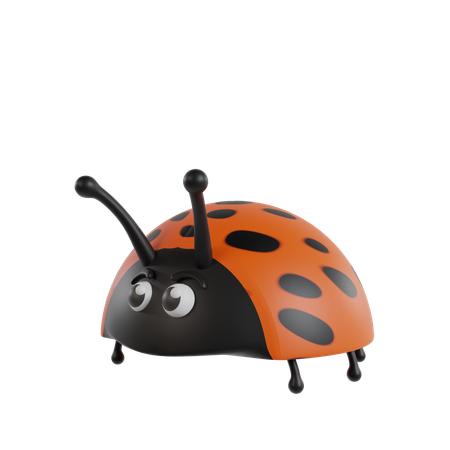 Lady Bug  3D Icon