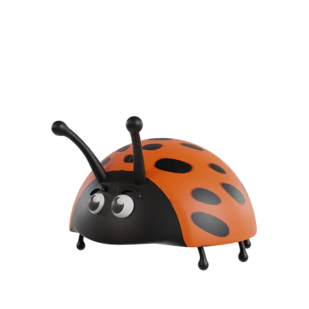 Lady Bug  3D Icon