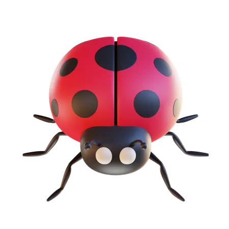 3 D Ladybug Illustration 3D Icon