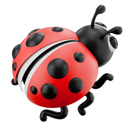 Ladybug  3D Icon