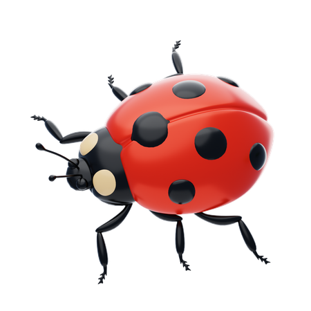 Ladybug  3D Icon