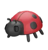 Ladybug