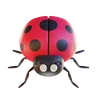 Ladybug