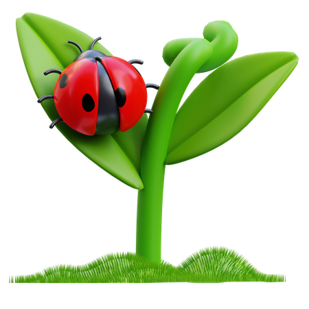 Ladybug  3D Icon