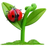 Ladybug