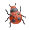 Ladybug