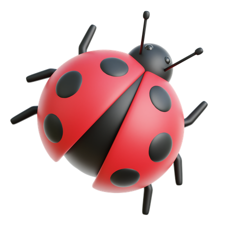 Ladybug  3D Icon