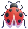 Ladybug