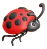 Ladybug