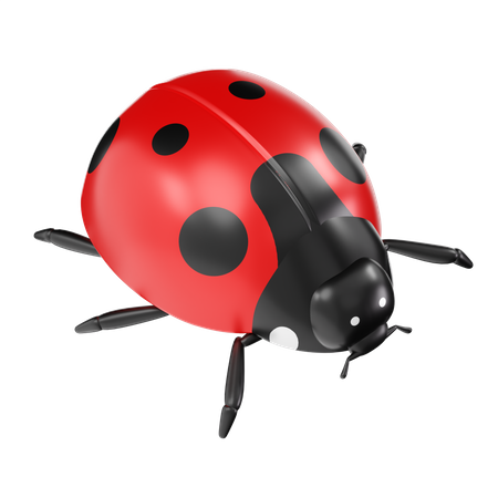 Ladybug  3D Icon