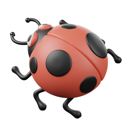 Ladybug  3D Icon