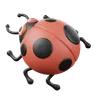 Ladybug