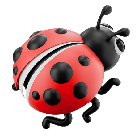 Ladybug  3D Icon