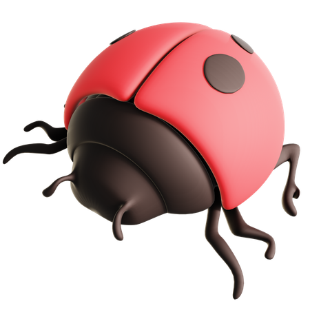 Ladybug  3D Icon