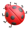 Ladybug