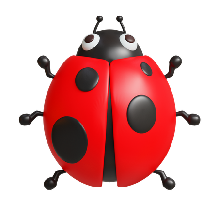 Ladybug  3D Icon
