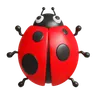 Ladybug