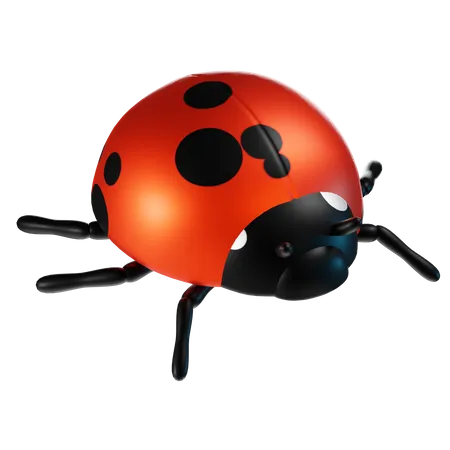 Ladybug  3D Icon