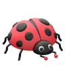 Ladybug