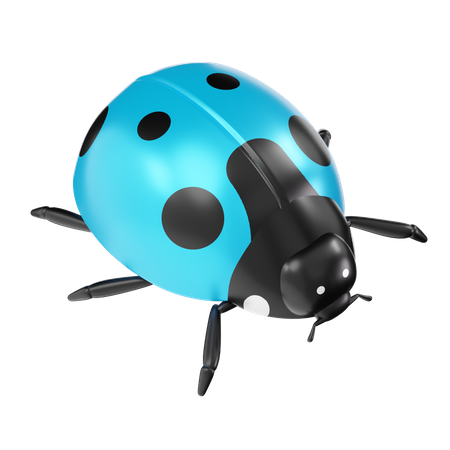 Ladybug 3D Icon