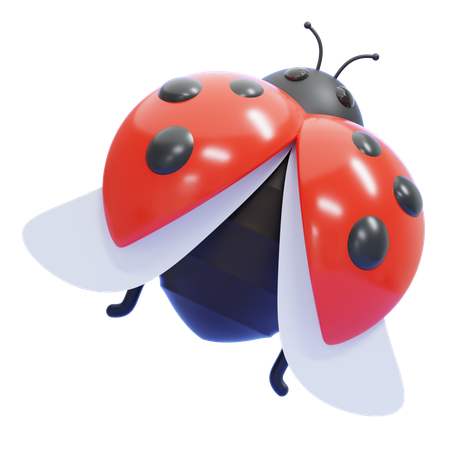Ladybug Wings Open  3D Icon