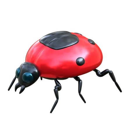 Ladybugs 3 D Insect Illustration 3D Icon
