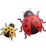 Ladybugs