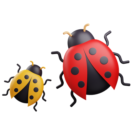 Ladybugs  3D Icon