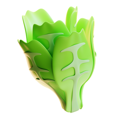 Laitue  3D Icon