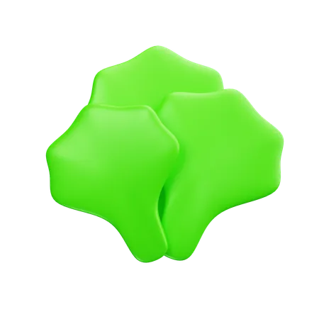 Laitue  3D Icon