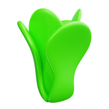 Laitue  3D Icon