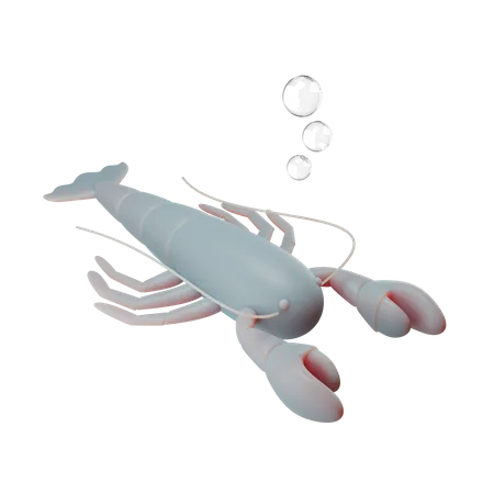 Langosta  3D Illustration