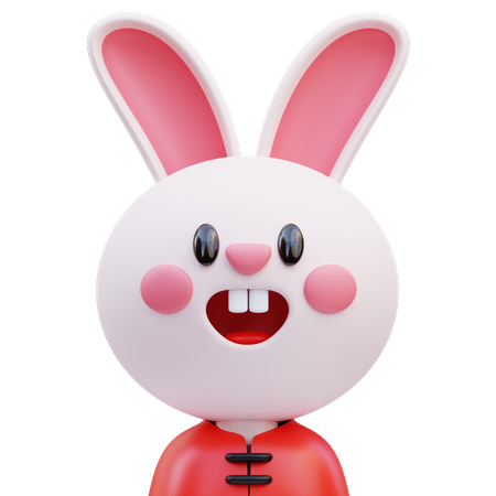 Lapin chinois  3D Icon