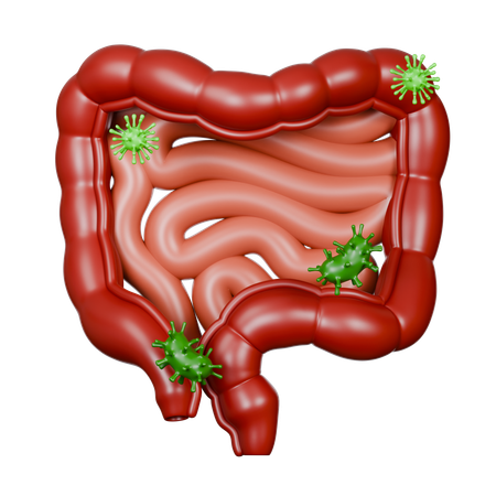 Large Intestine Diseases  3D Icon